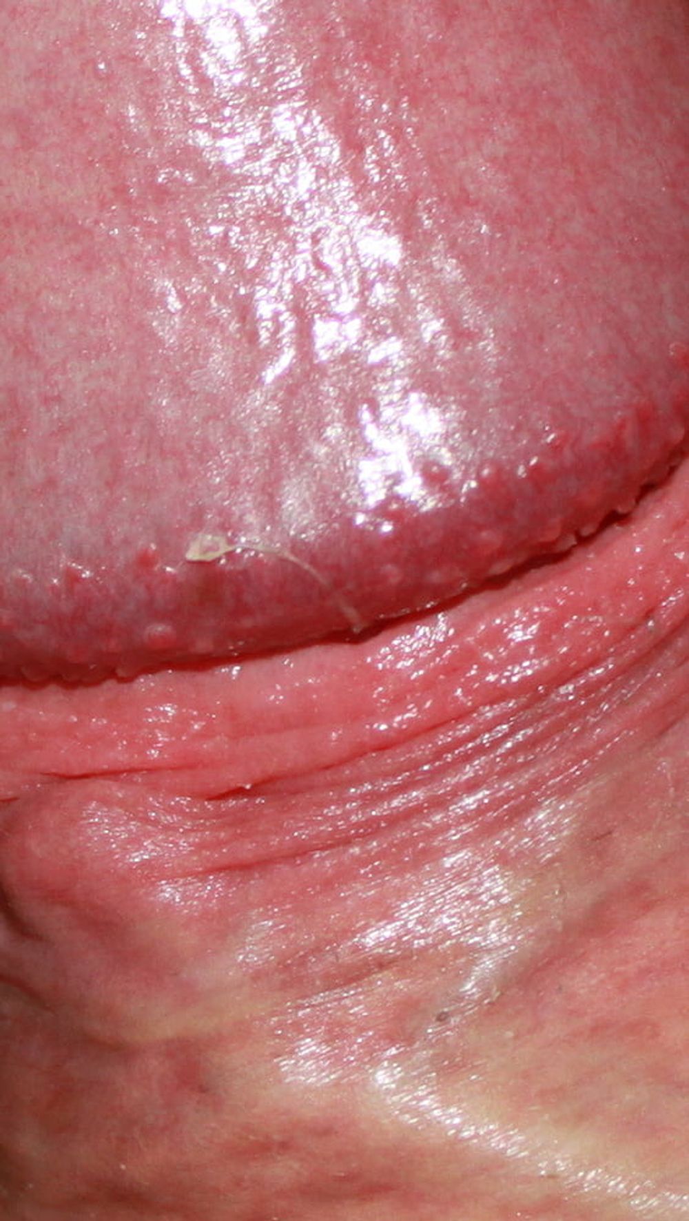 Close up dick #9