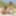 Outdoor lesbians Cora und Petty in the dunes