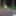 Strip in the woods #2