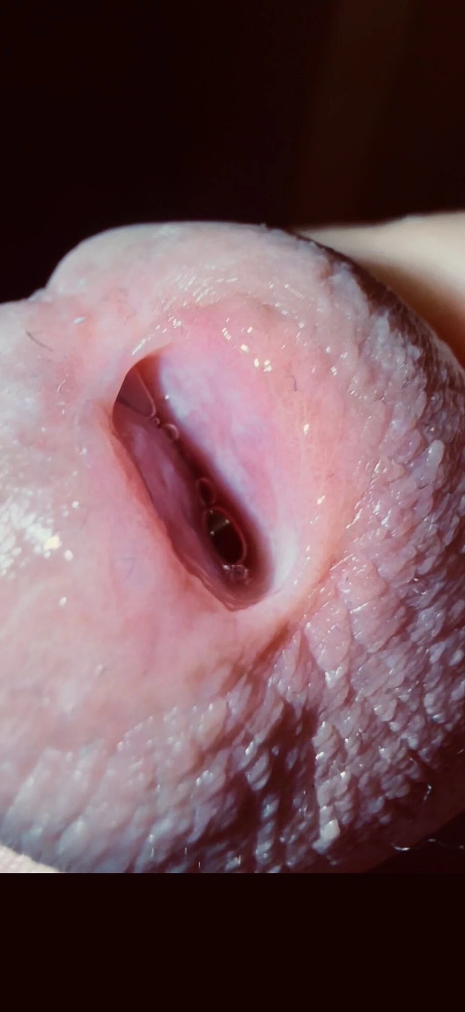 Precum Session 2.0 #3