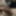 Cock Pictures #34 still jerking
