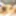 Shy Thai Babe picked & Tasted - MyFon & Friz Maravilla 