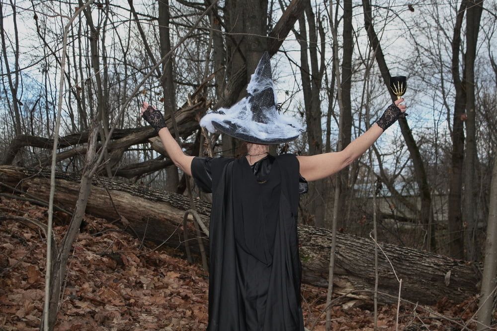 Witch with broom in forest #9