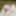 Teaser of body before today&#039;s stream #7