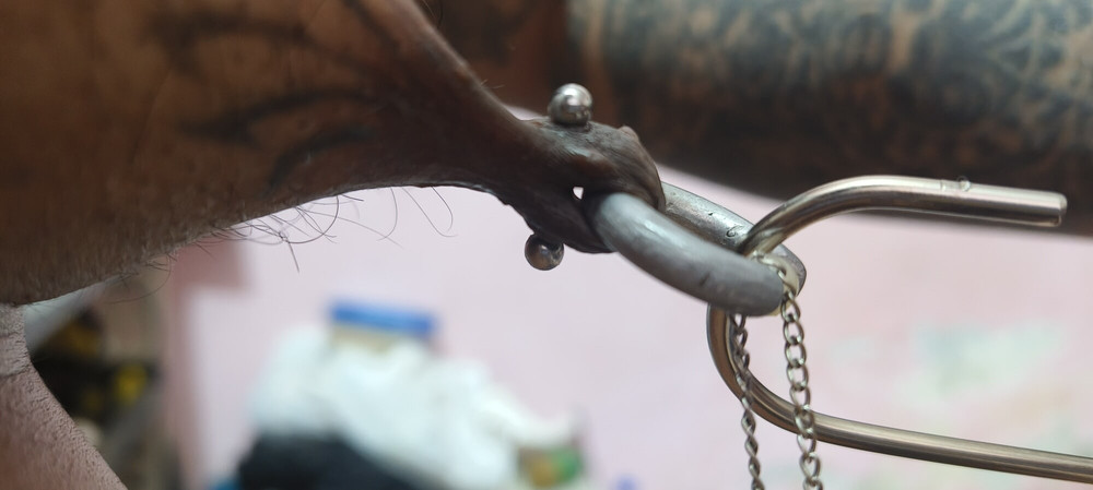 Pierced Indian cock  #5