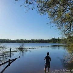 Woody  Free Photos