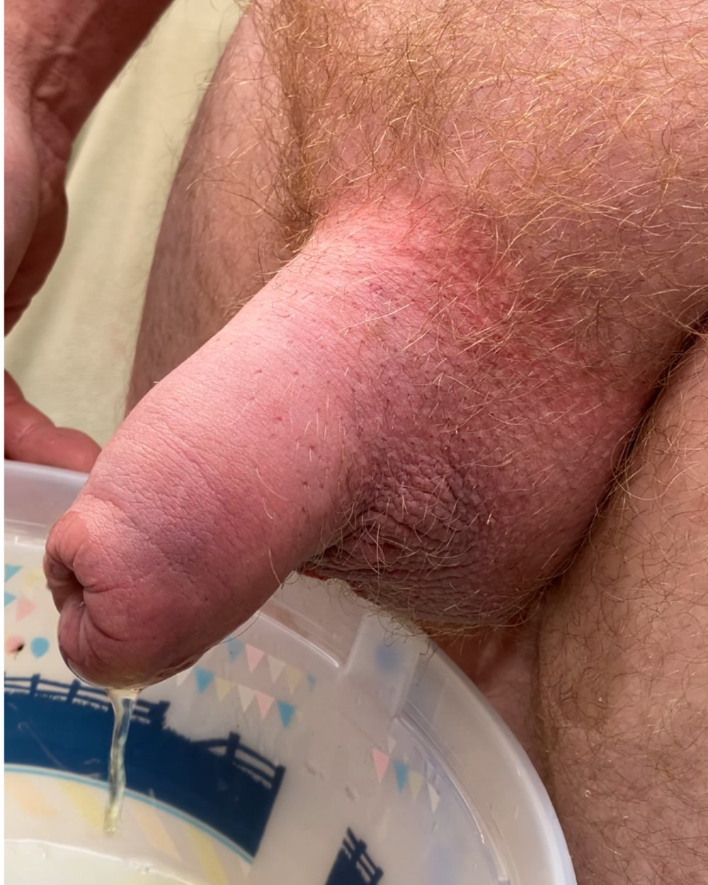 Compilation of uncut cock pics #5