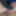 Teen sounds his cock closeup. #3
