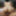 A Threesome Drenched in Oil #31