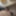 Photo for my subscribers with my cock close up