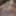 Out of control jockslut masturbator #6