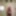 2019 random  #46