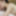 Asian hottie Lucy sucking dick
