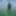 in green algae #5
