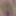 Annadevot - cunt processed with a plug in the ass #3