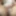 Shaved Wet Pussy Photoshoot American Milf 11