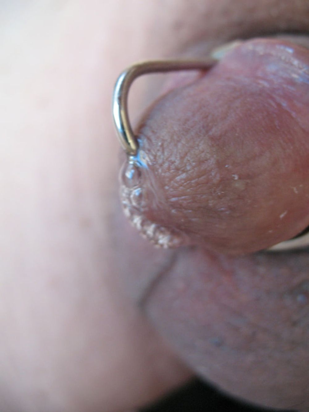 More steel in my cock with glans ring