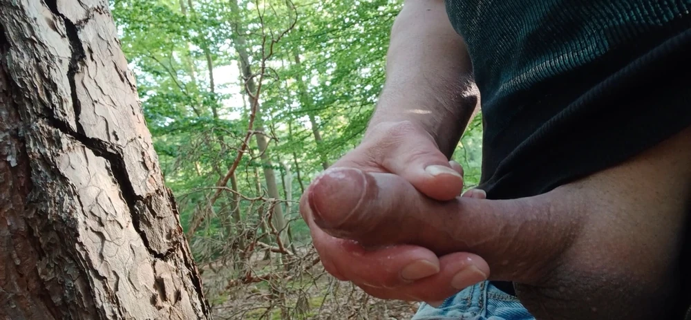 Solo Masturbating in the forest  #5