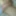 Diverse Bilder von Schwanz und Co