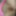 Sexy content 