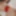 Red sheer mesh panties bulge