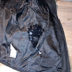 射精亲爱的大衣 2