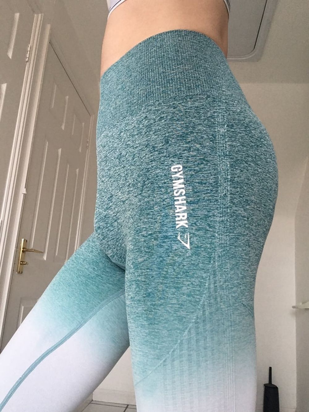 Gymshark Ombre Leggings #8