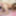 FEMOUT.XXX: Fairy Petal Gets Rear Ended #7