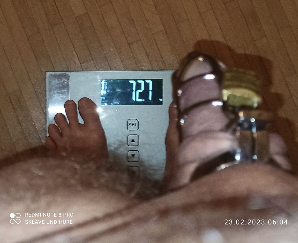 Delator, mandatory weighing, cockcage, nake 23.02.23 #11