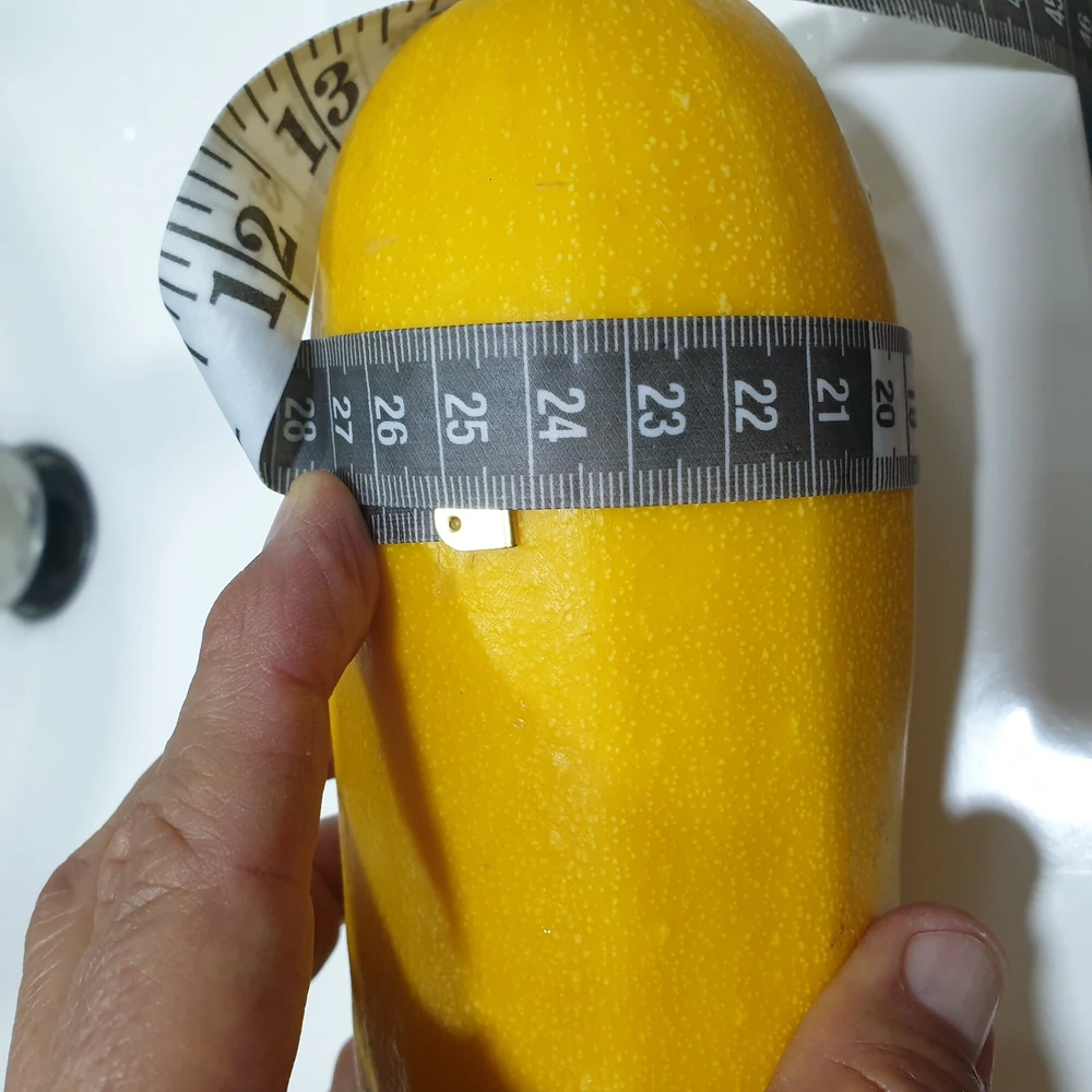 Yellow zucchini #2