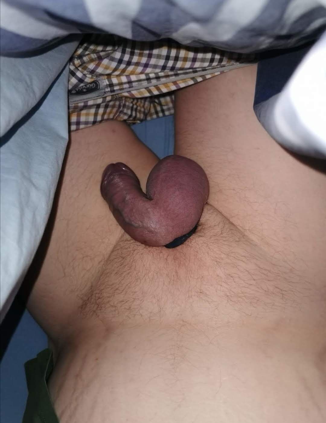 My Cock #17