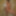 Kinky beauty masturbates in the shower for me #36