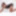 TGIRLS.XXX: Cache&#039;ing In