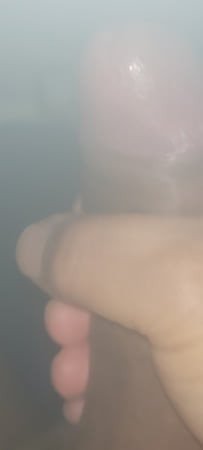 Morning Wood