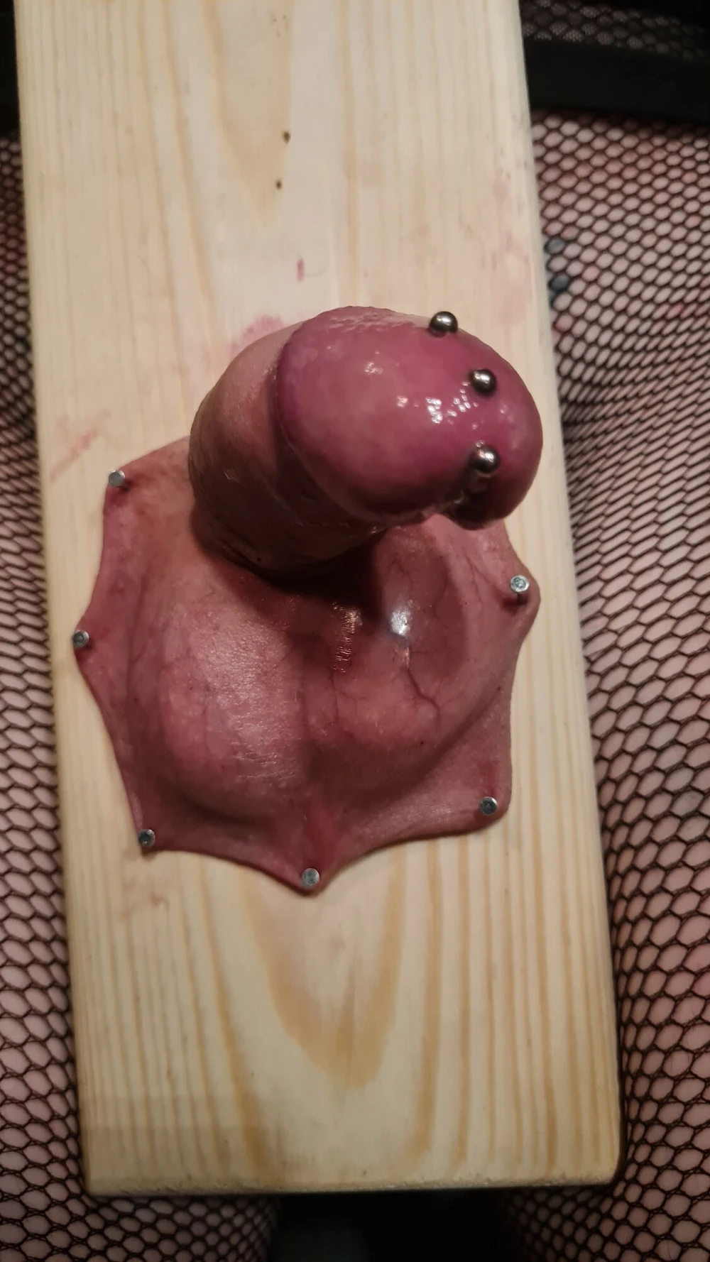 Cock and ball torture #3