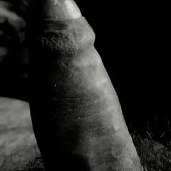 My cock