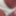 Panties