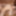Mai Yoshino :: Ambush - CARIBBEANCOM #14
