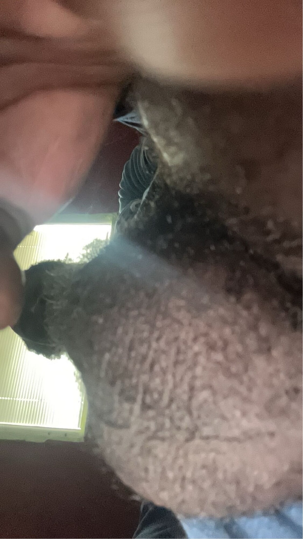 Pt1 Random work day pics  #10