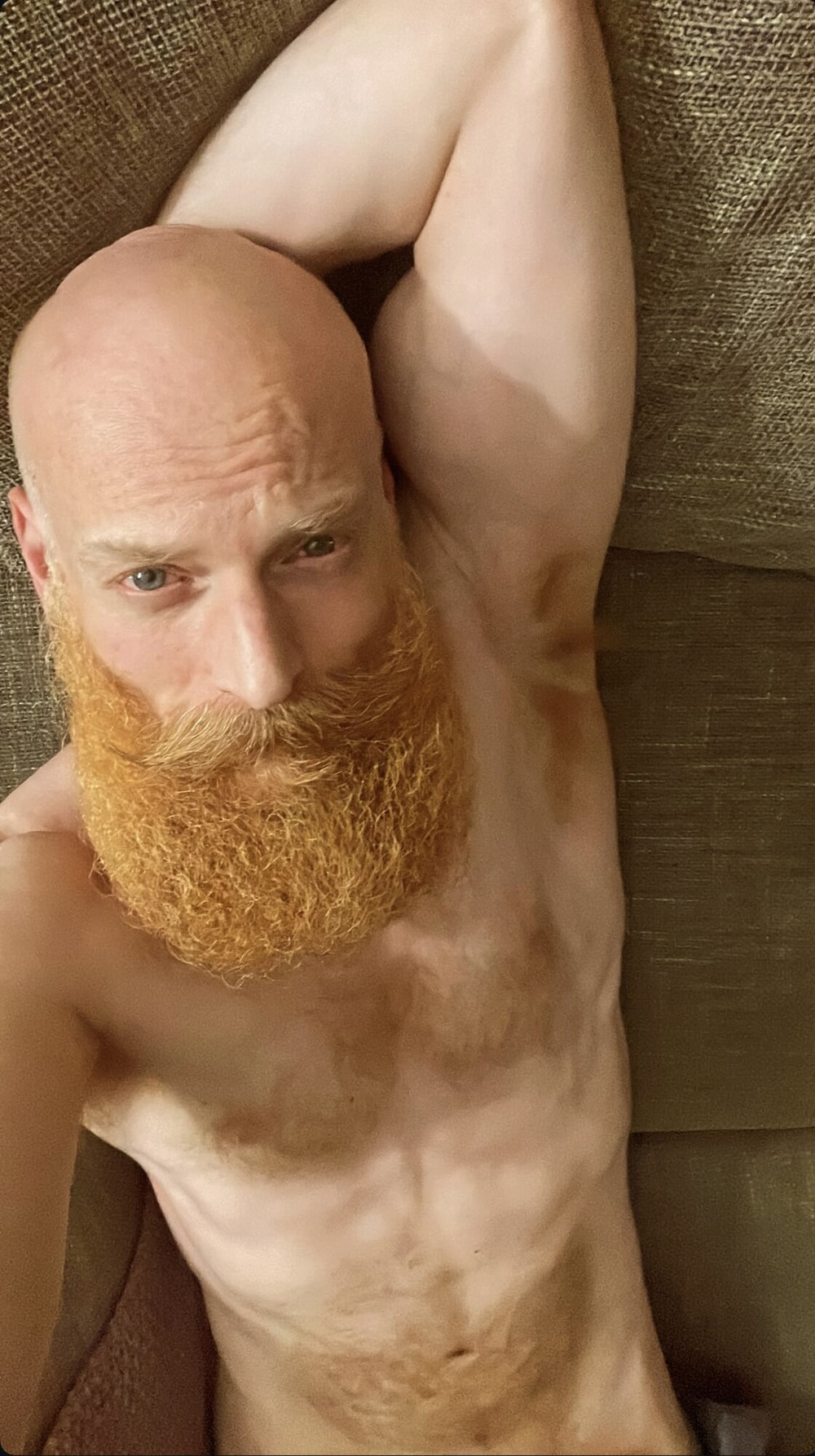 Ginger bush and body #4