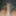 Indian dick 9 inch