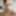 Free Brunettegirll Photos