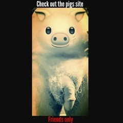 Piggy 🐷 