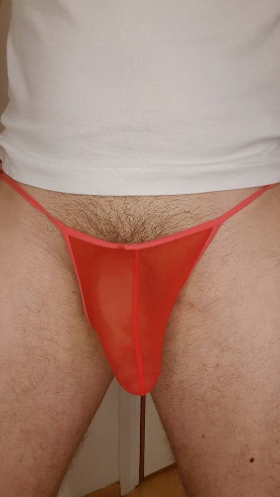 Red sheer mesh panties bulge #13
