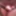 dick pics #27