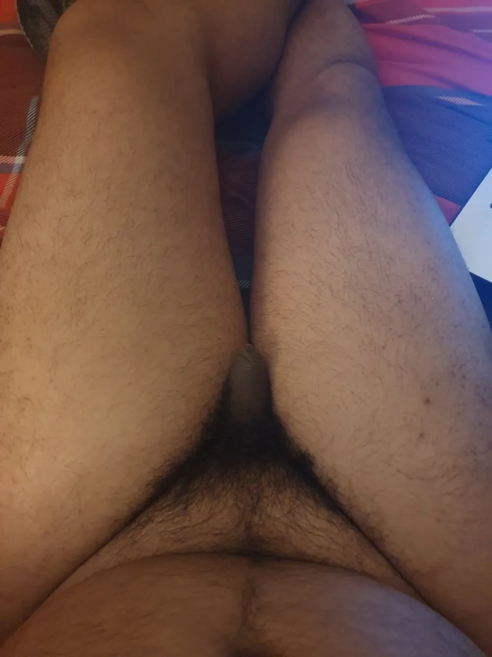 Penis #2