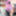 Amateur crossdresser Kellycd2022 sexy milf in white pantyhos