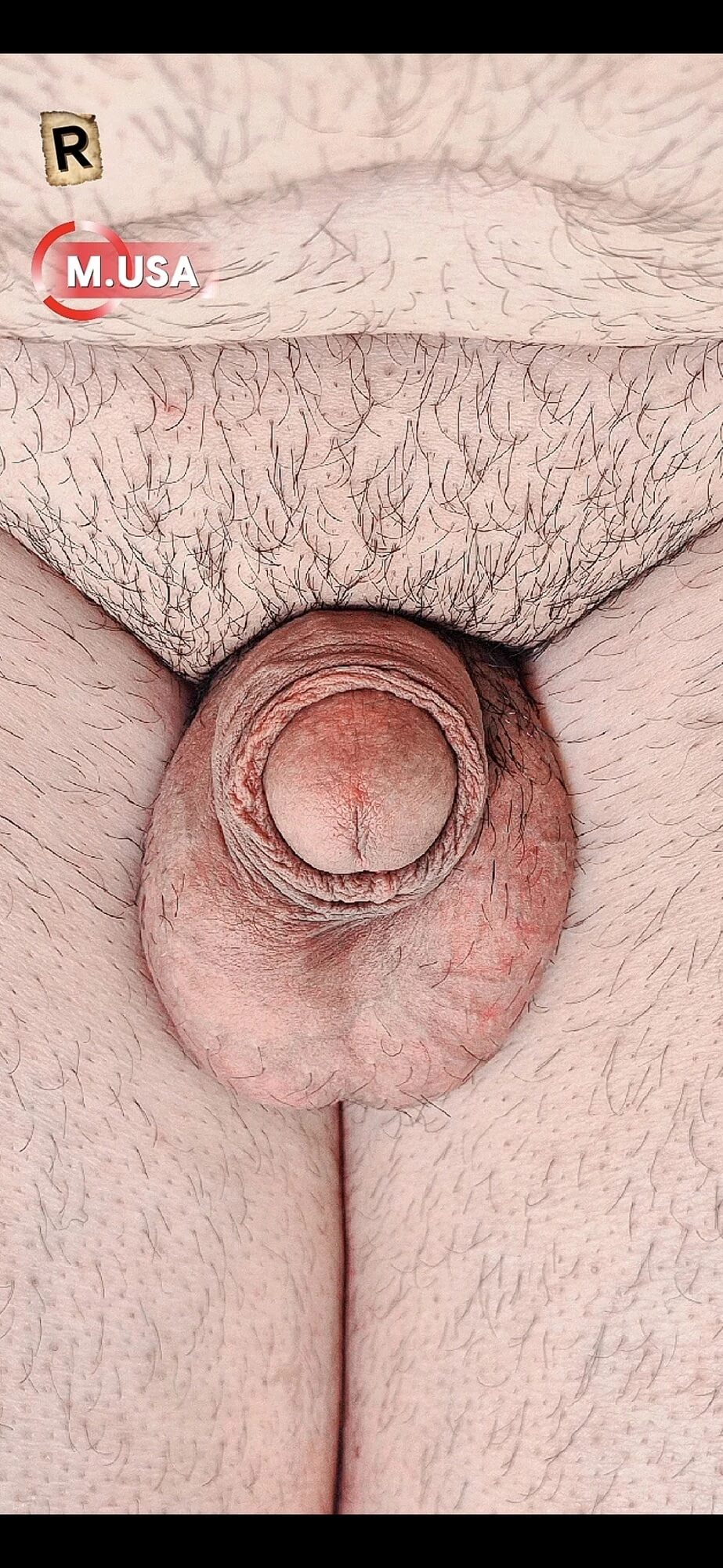 Ball