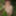 Wanking in the woods #25