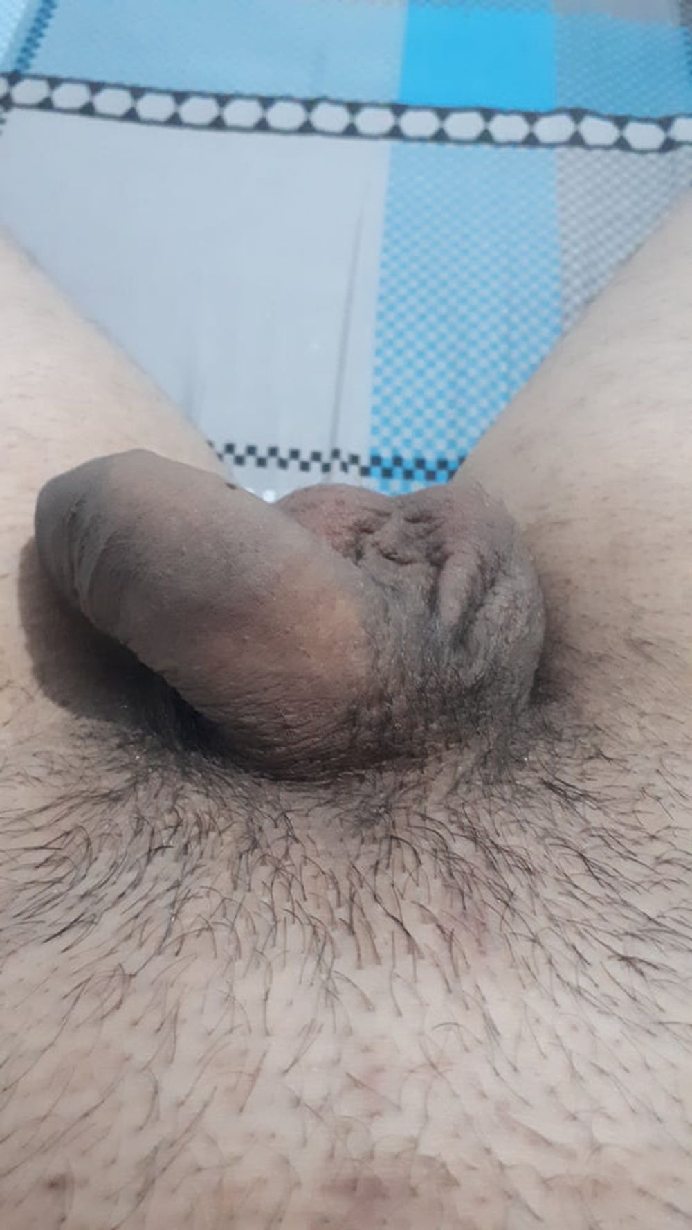 Hairy Dick #2